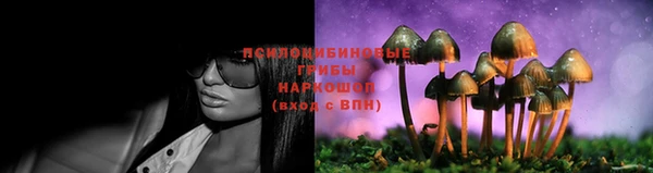 круглые Иннополис