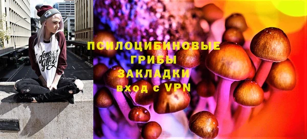 круглые Иннополис