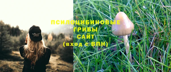 круглые Иннополис