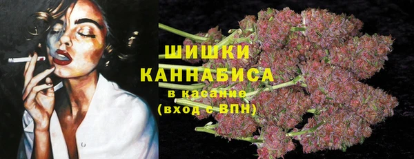 круглые Иннополис