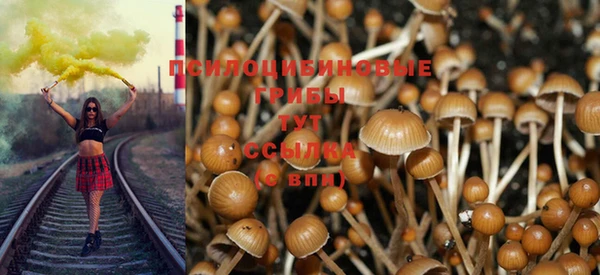 синтетический гашиш Инта