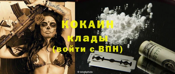 круглые Иннополис