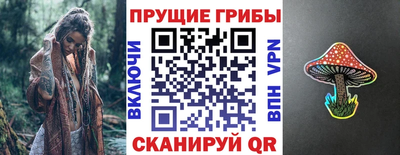 Псилоцибиновые грибы мухоморы  Купить закладки  Котлас 